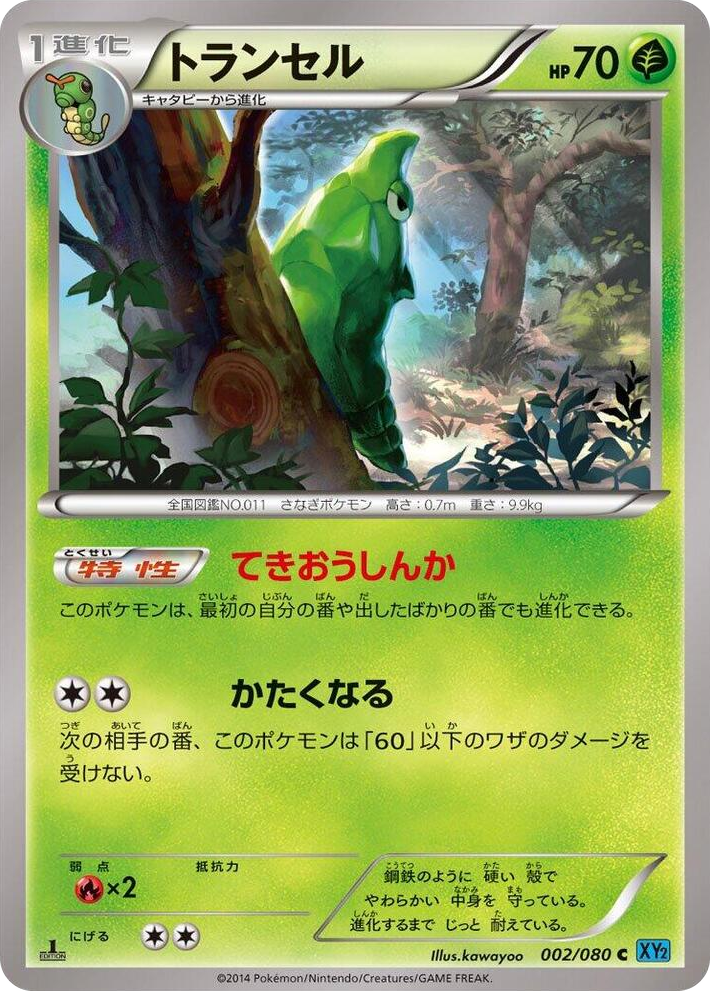 0002 Metapod Common Wild Blaze