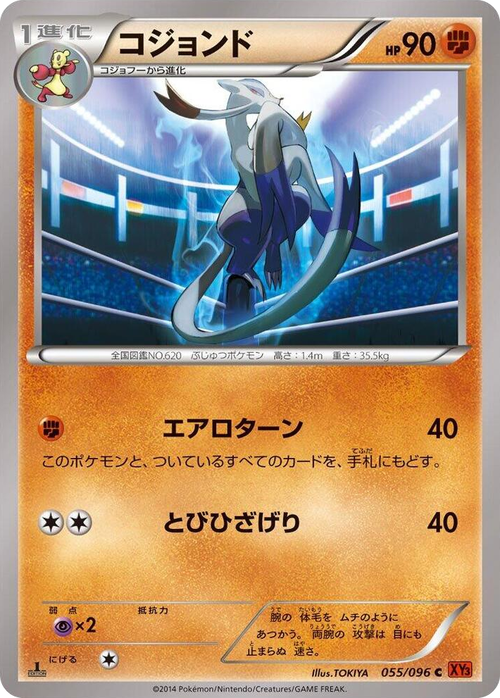 0055 Mienshao Common Rising Fist
