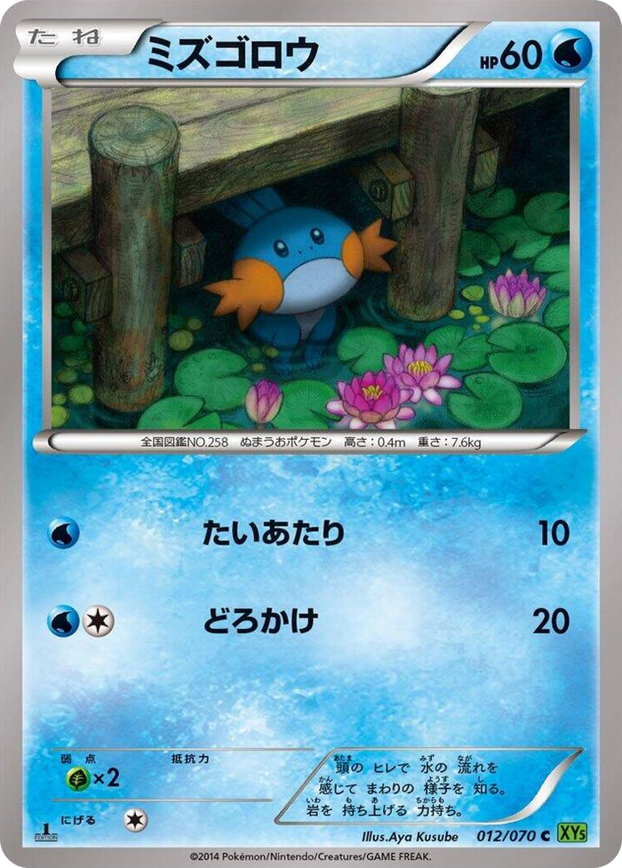 Mudkip Common #12