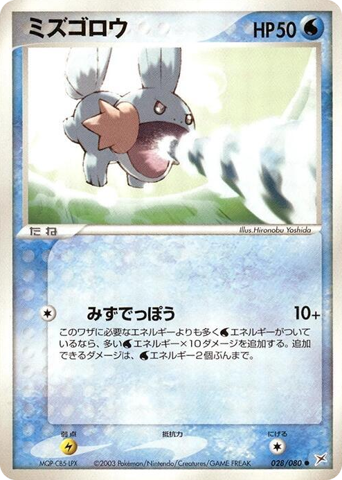0028 Mudkip Common Magma VS Aqua: Two Ambitions