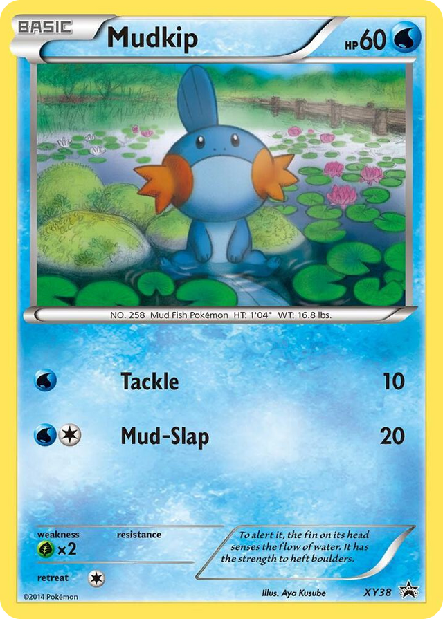 XY038 Mudkip - XY38 Promo XY Promos