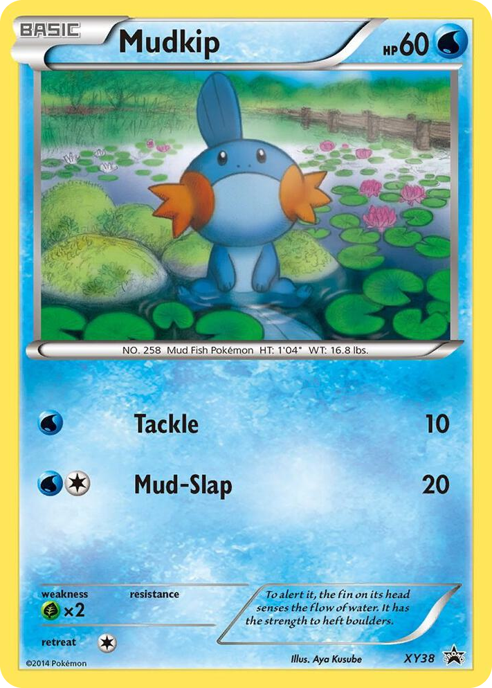 XY038 Mudkip - XY38 Promo XY Promos