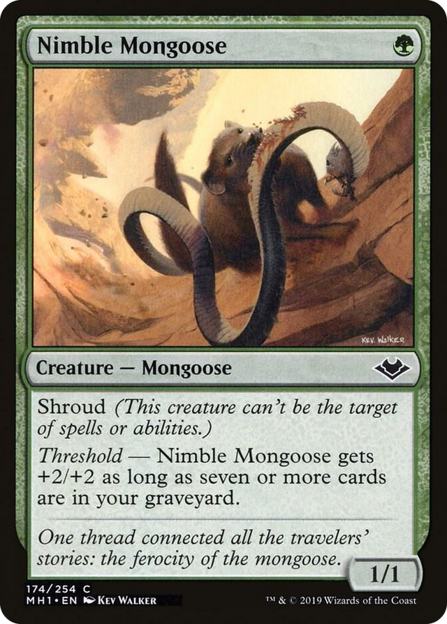 0174 Nimble Mongoose C Modern Horizons