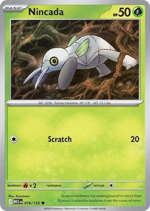 0016 Nincada Common Mega Evolution