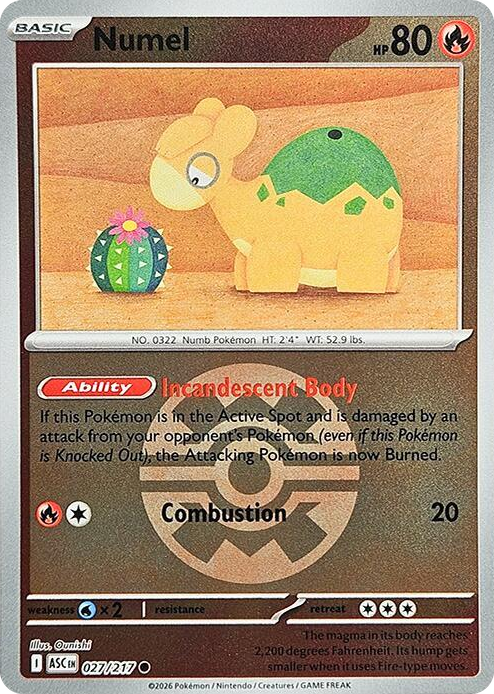0027 Numel - 027/217 (Quick Ball) Common Ascended Heroes