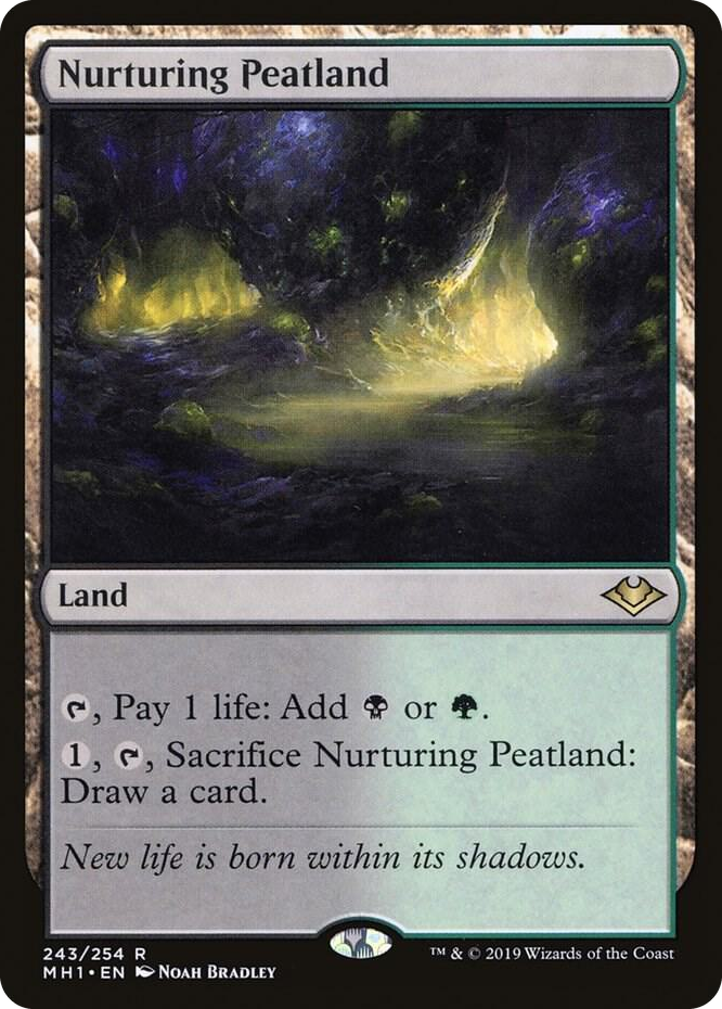 0243 Nurturing Peatland R Modern Horizons