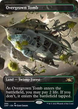 0284 Overgrown Tomb (Borderless) R Unfinity
