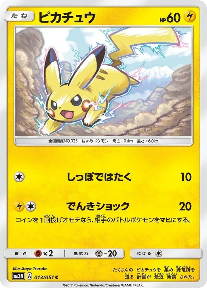 0013 Pikachu Common Darkness that Consumes Light