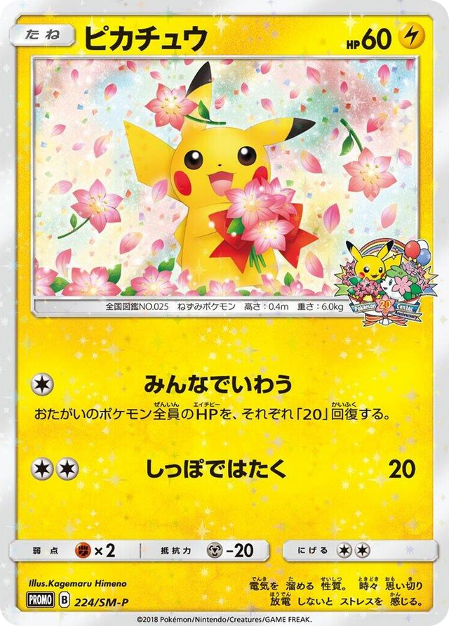 0224 Pikachu - 224/SM-P SM-P: Sun & Moon Promos