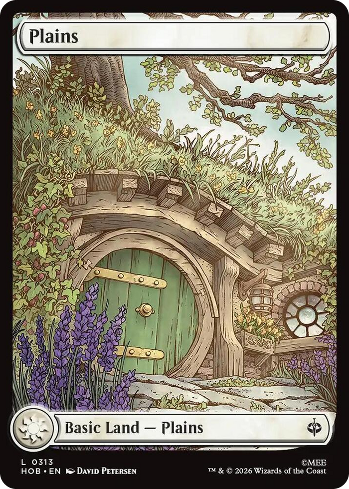 Plains (0313) #313 L - The Hobbit Pokemon card