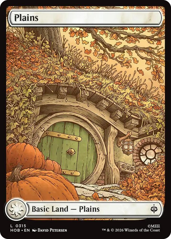Plains (0315) #315 L - The Hobbit Pokemon card