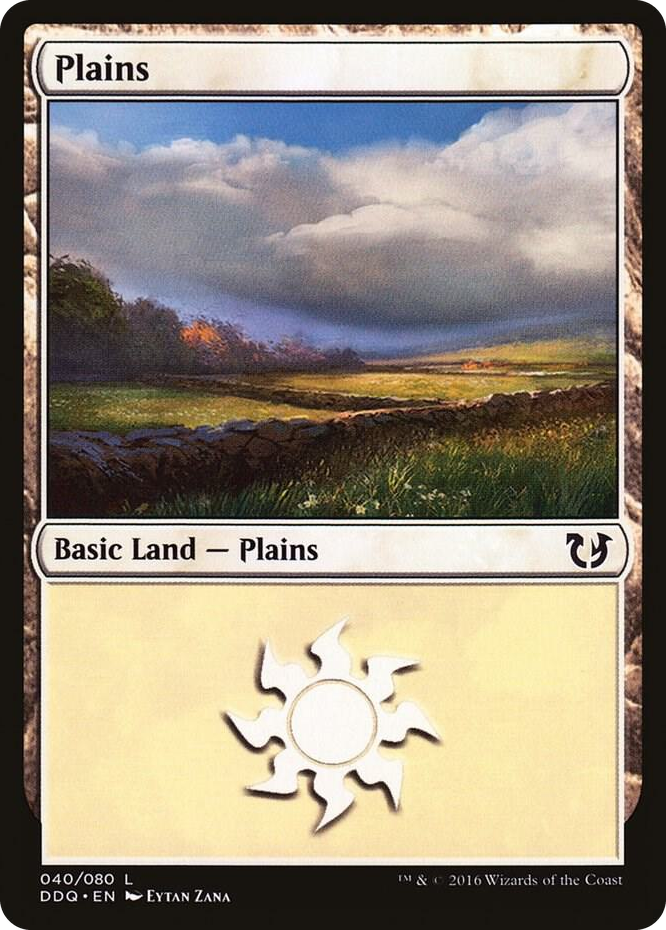 Plains (040) #40 L - Duel Decks: Blessed vs. Cursed Pokemon card