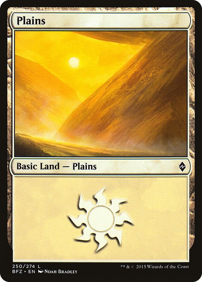 Plains (250) #250 L - Battle for Zendikar Pokemon card