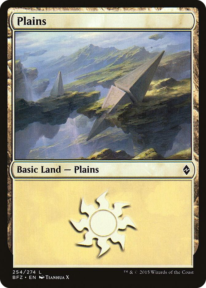 Plains (254) #254 L - Battle for Zendikar Pokemon card