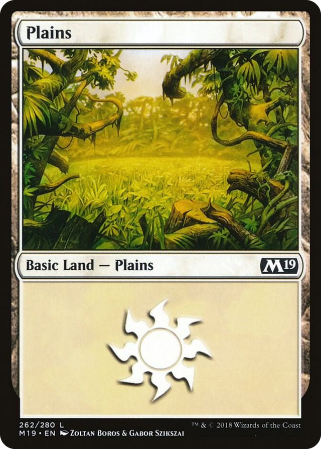 0262 Plains (262) L Core Set 2019