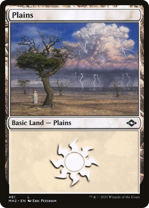 0481 Plains (481) L Modern Horizons 2
