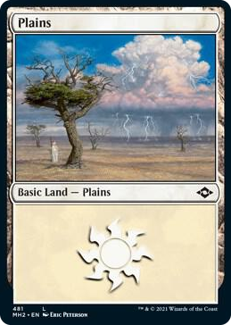 0481 Plains (481) (Foil Etched) L Modern Horizons 2