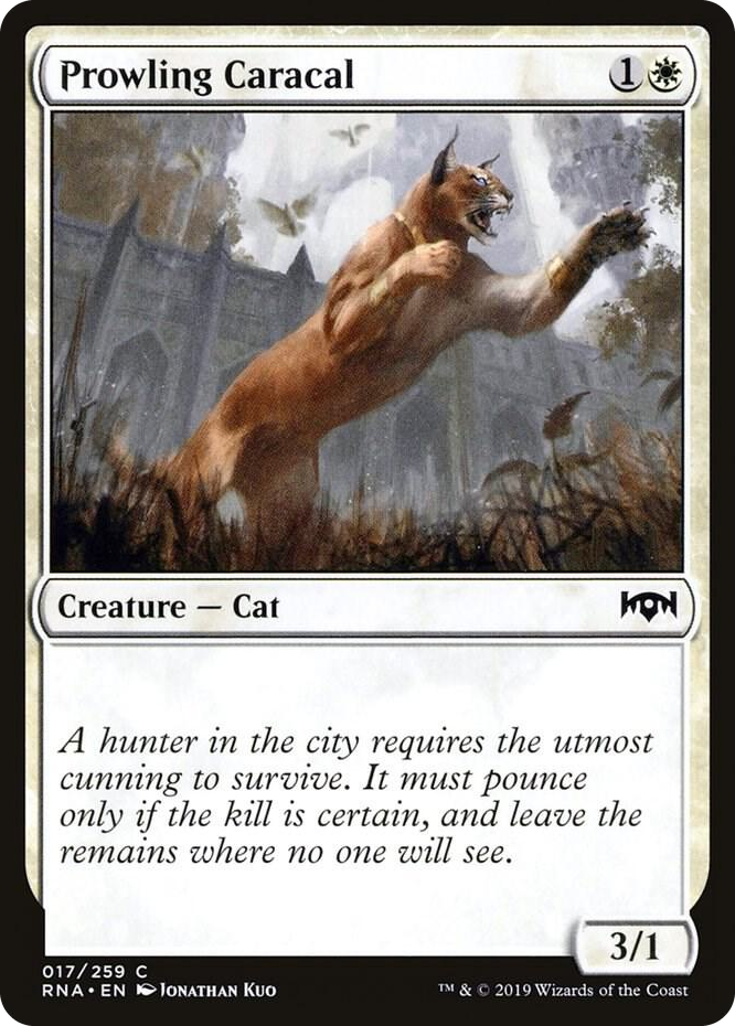 0017 Prowling Caracal C Ravnica Allegiance