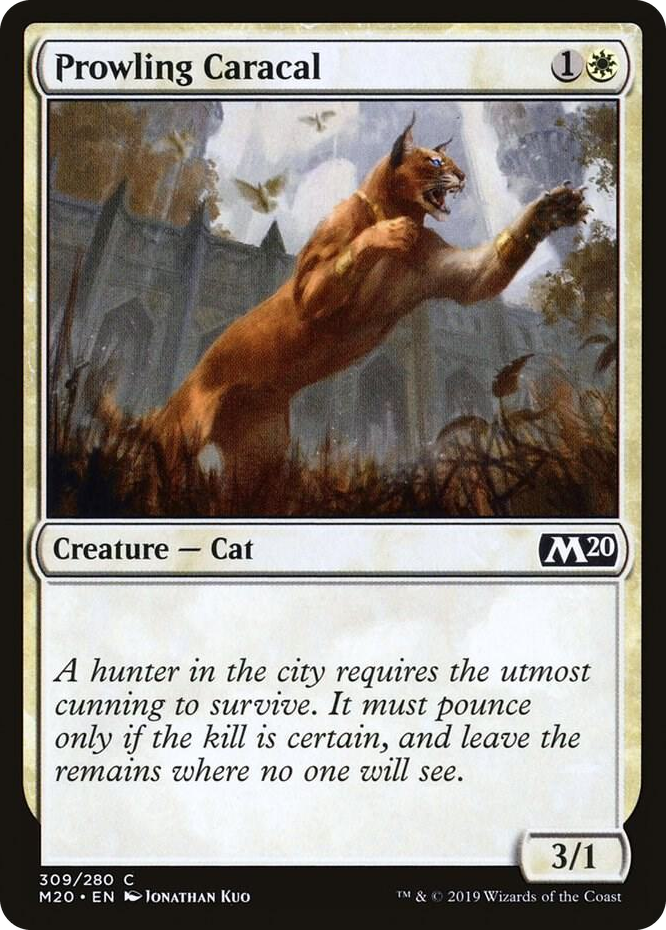 0309 Prowling Caracal C Core Set 2020