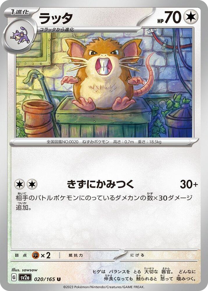 0020 Raticate Uncommon Pokemon Card 151