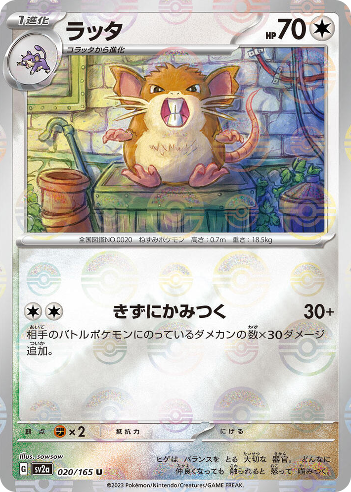 0020 Raticate (Poke Ball Pattern) Uncommon Pokemon Card 151