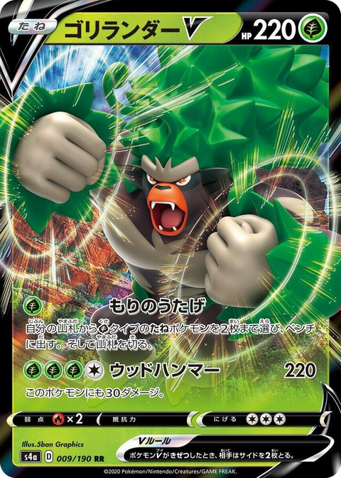 0009 Rillaboom V Double Rare Shiny Star V