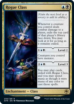 0230 Rogue Class R Adventures in the Forgotten Realms