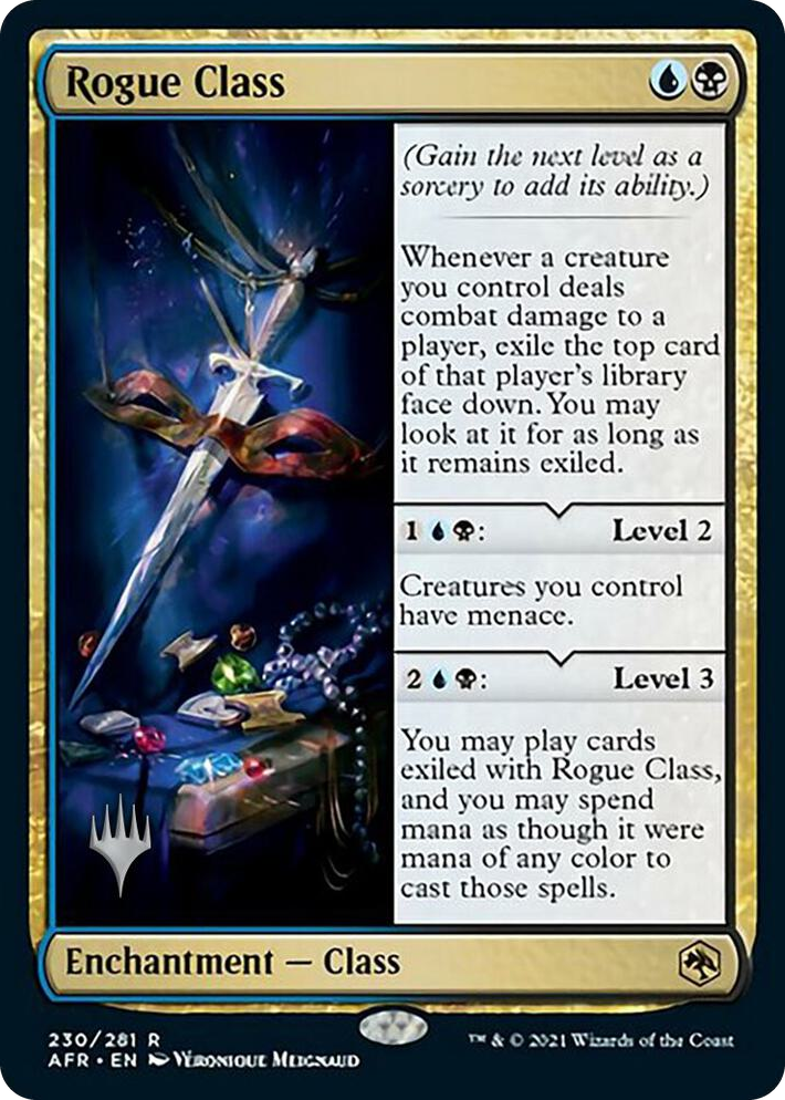 0230 Rogue Class R Promo Pack: Adventures in the Forgotten Realms