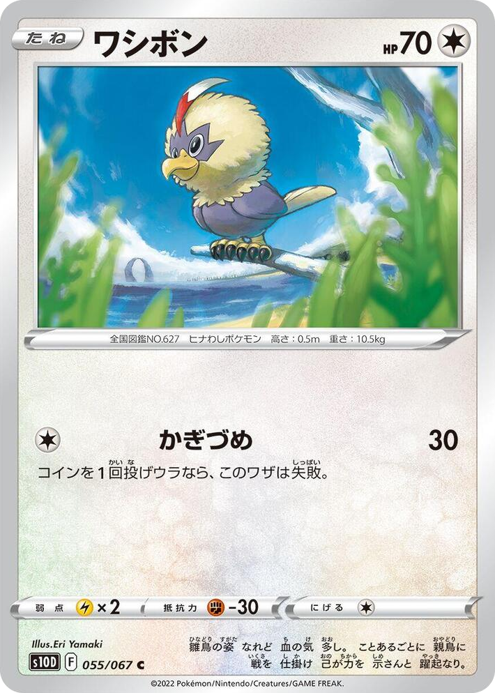 0055 Rufflet Common Time Gazer