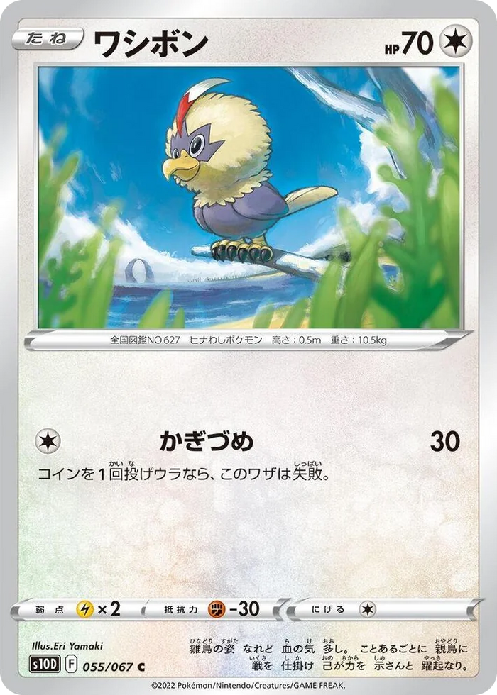 0055 Rufflet Common Time Gazer