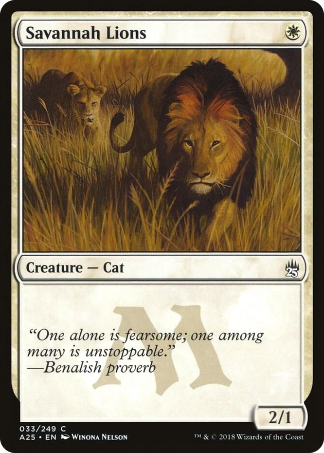 0033 Savannah Lions C Masters 25