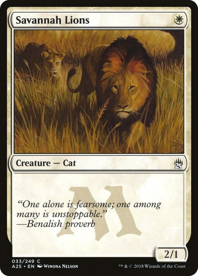 0033 Savannah Lions C Masters 25