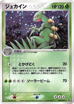 0003 Sceptile Holo Rare ADV Expansion Pack