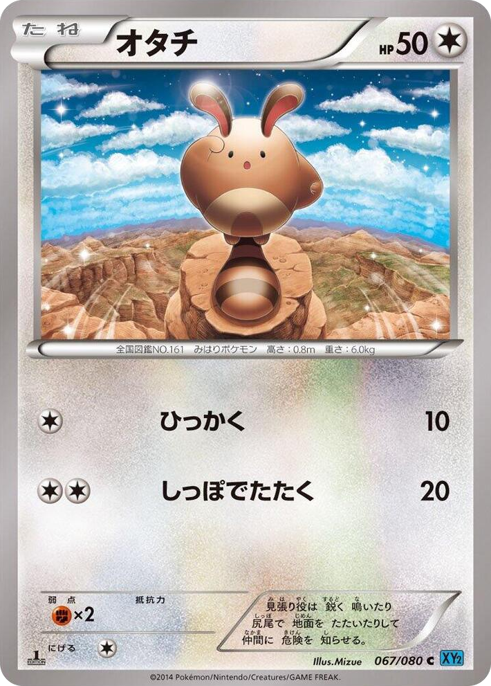 0067 Sentret Common Wild Blaze
