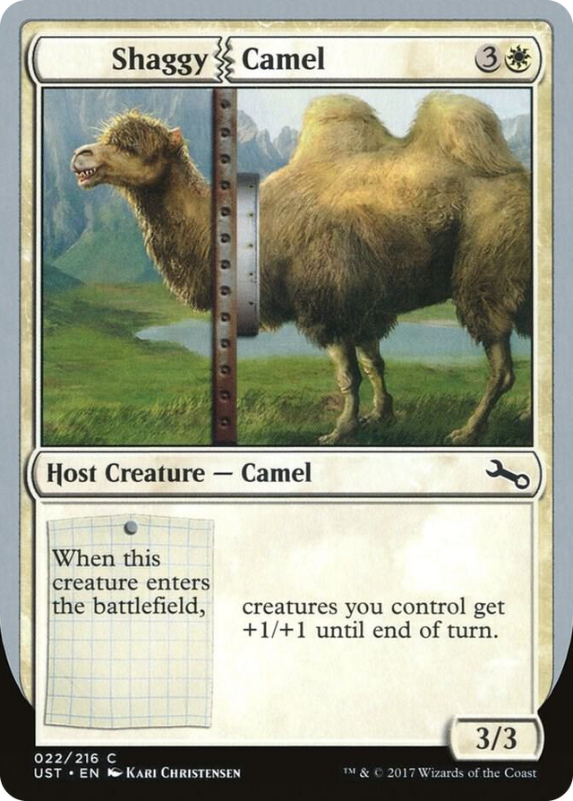 0022 Shaggy Camel C Unstable