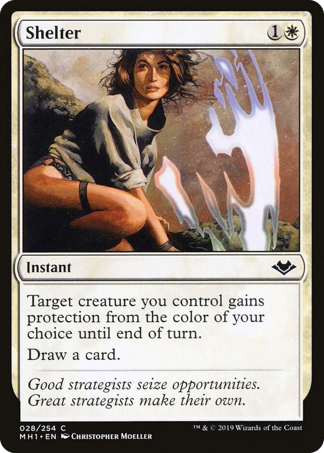 0028 Shelter C Modern Horizons
