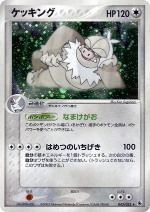 0043 Slaking Holo Rare ADV Expansion Pack