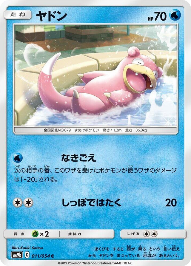 0011 Slowpoke Common Full Metal Wall