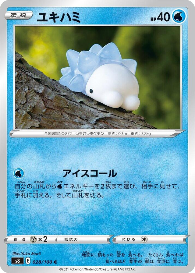 0028 Snom Common Fusion Arts