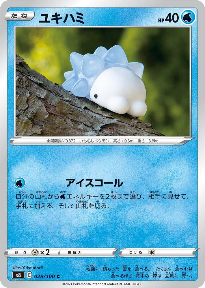0028 Snom Common Fusion Arts