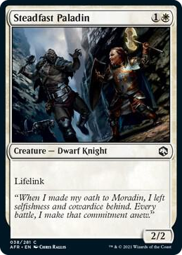 0038 Steadfast Paladin C Adventures in the Forgotten Realms