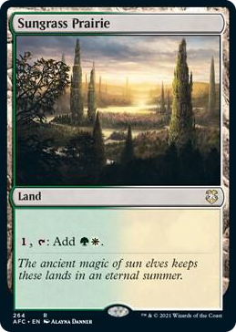 0264 Sungrass Prairie R Commander: Adventures in the Forgotten Realms