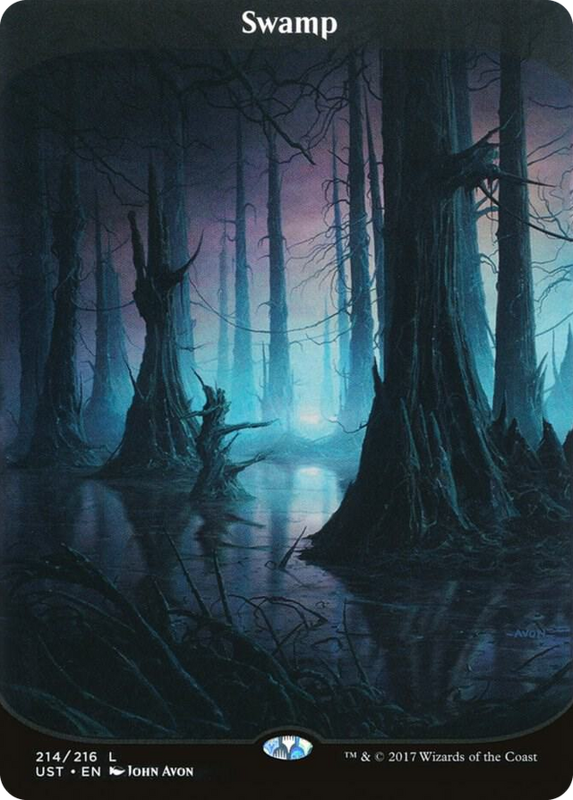 0214 Swamp L Unstable