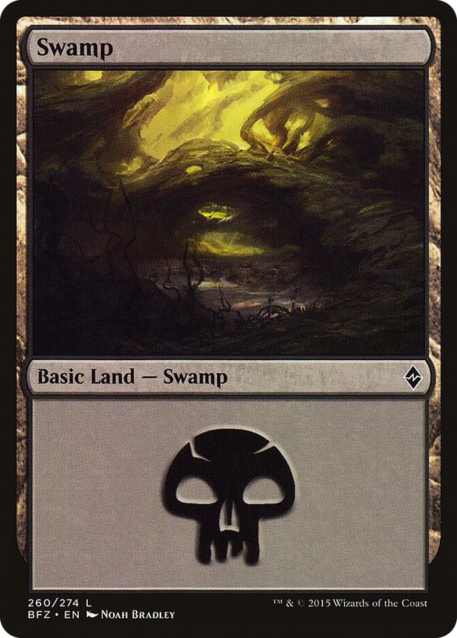 Swamp (260) #260 L - Battle for Zendikar Pokemon card
