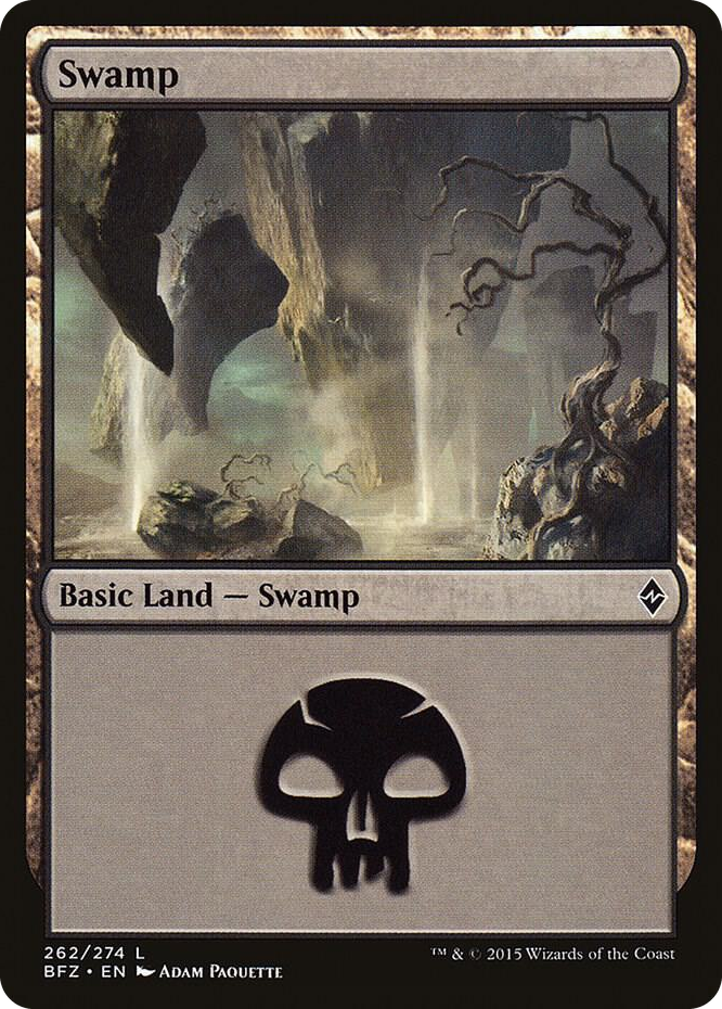 Swamp (262) #262 L - Battle for Zendikar Pokemon card