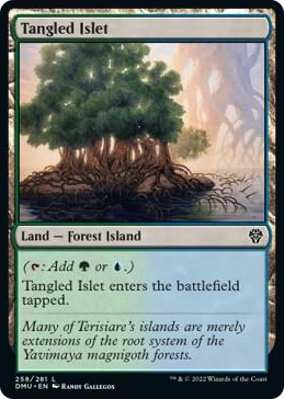 Tangled Islet #258 L - Dominaria United Pokemon card
