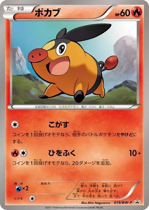 0019 Tepig - 019/BW-P None BW-P Promotional cards