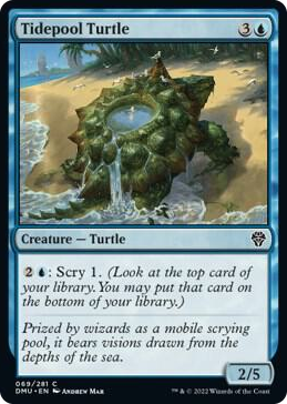 0069 Tidepool Turtle C Dominaria United
