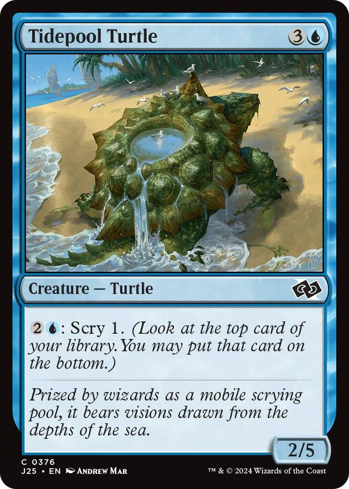 0376 Tidepool Turtle C Foundations Jumpstart