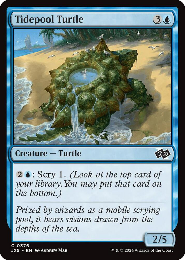 0376 Tidepool Turtle C Foundations Jumpstart